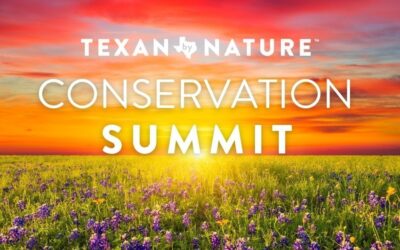EcoMetrics President Presents at Texan by Nature Conservation Summit