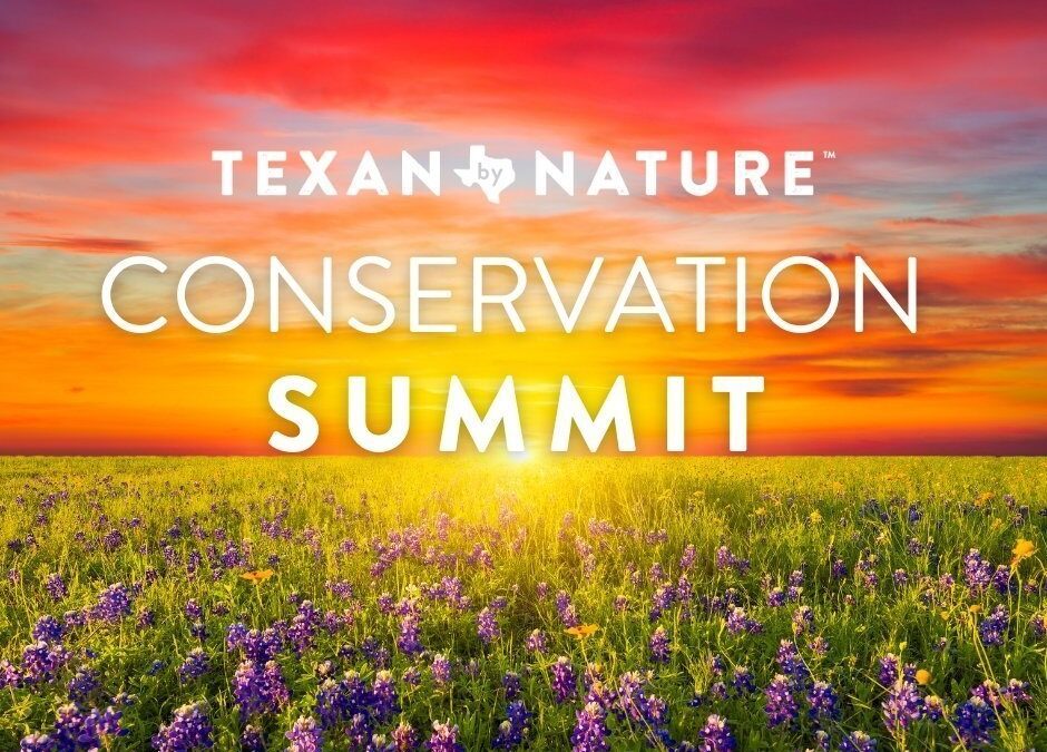 EcoMetrics President Presents at Texan by Nature Conservation Summit