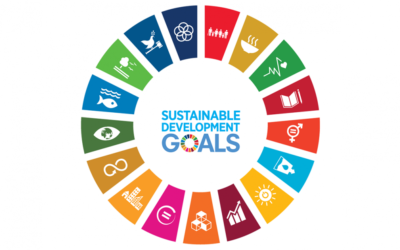 EcoMetrics Profiled as Partner of Texan by Nature UN SDG Report Card Initiative