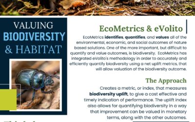 EcoMetrics Partners with Faunaphonics/eVolito to Enhance Biodiversity Valuation
